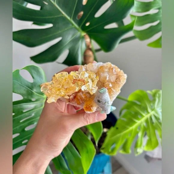 Parrot carving on Citrine - Picture 4 of 5